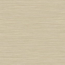 Galerie Wallcoverings Product Code 35972 - Italian Textures 4 Wallpaper Collection - Cream Gold Colours - Horizontal Texture Design