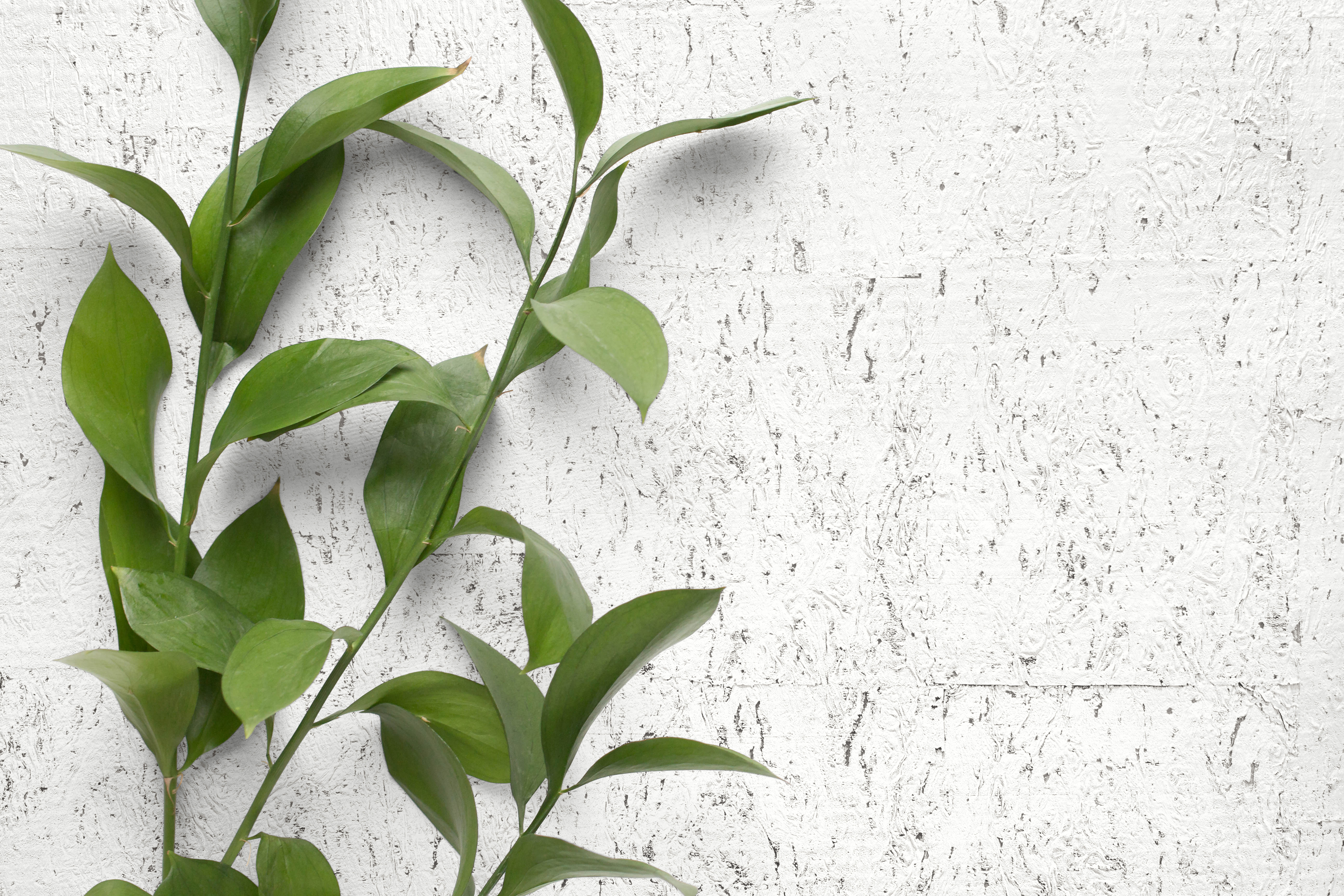 Galerie Wallcoverings Product Code DB32900 - Daisy Bennett Wallpaper Collection - Whites & Off Whites Colours - Plain Cork Design