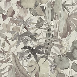 Galerie Wallcoverings Product Code: DW2010 - Designer Walls Wallpaper Collection Galerie Wallcoverings Product Code DW2010 - Designer Walls Wallpaper Collection - Greige Colours - Abstract Leaves Design