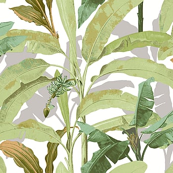 Galerie Wallcoverings Product Code 18541 - Into The Wild Wallpaper Collection - Green Colours -  